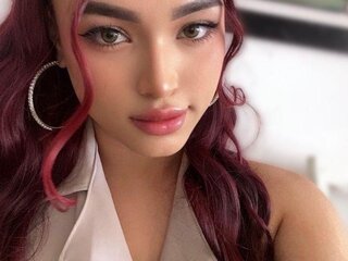 alexamodel4