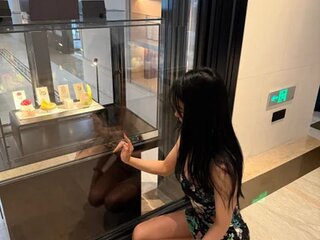 Cookie522